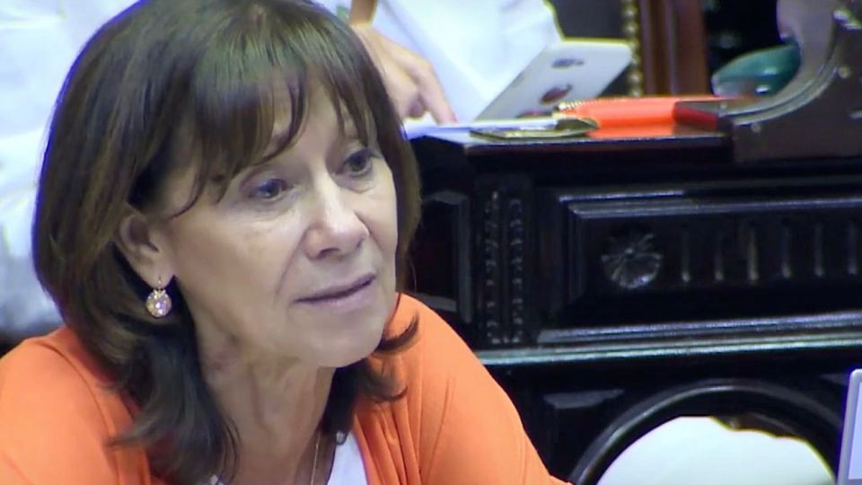 La diputada del Frente de Todos, Alicia Aparicio