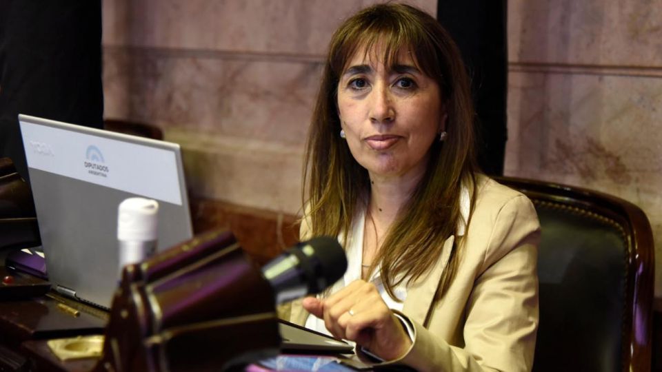 diputada por santa cruz Roxana Reyes