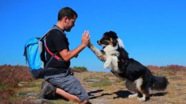Enseñarles a nuestros amigos a hacer algunos trucos requiere de mucha paciencia, dedicación y cariño.