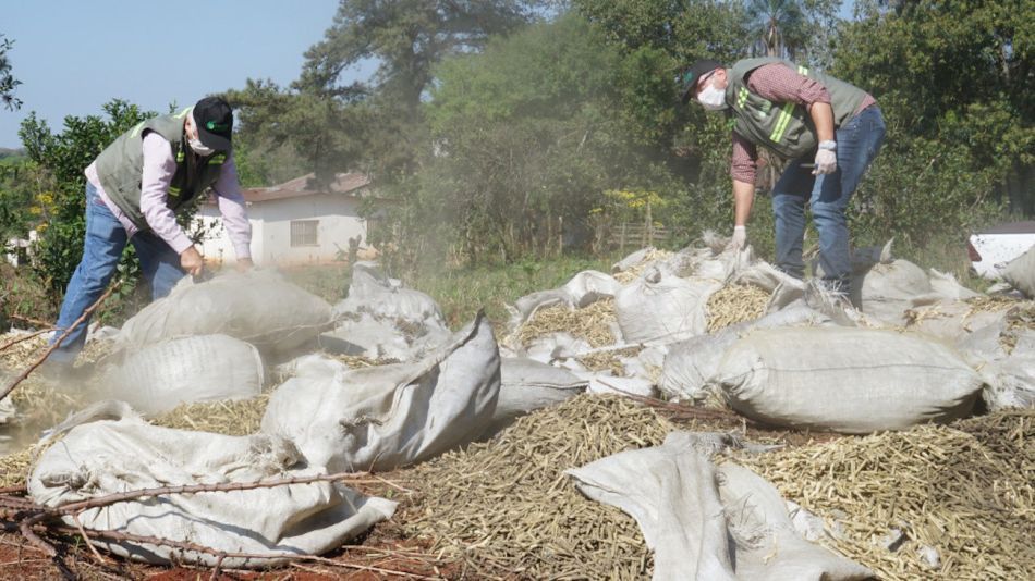 Decomiso de palitos de yerba mate