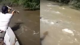 Las bogas no paraban de saltar delante de las miradas perplejas de los pescadores.