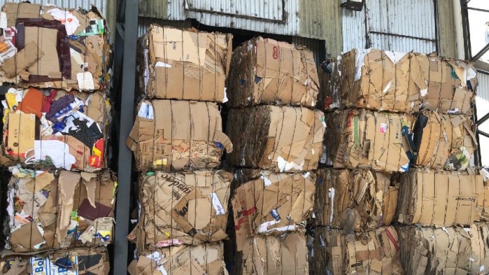 En el país, hay entre 150.000 a 200.000 personas dedicadas al cartoneo, una actividad poco reconocida.