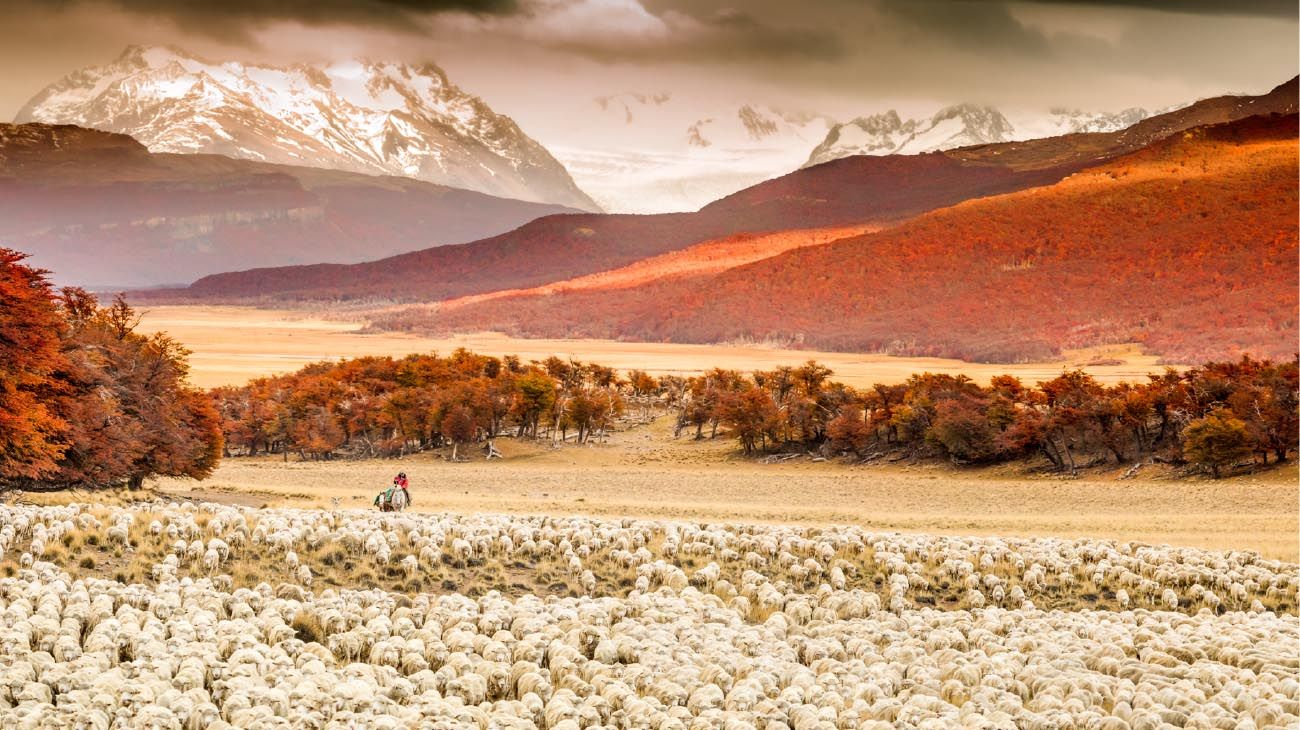 De punta a punta del país, tomando fotografías durante siete años