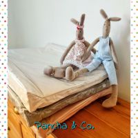 Pancha & Co