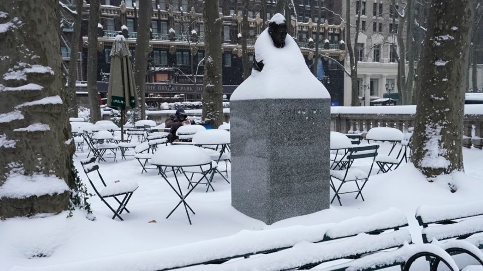 NEVADA2020nuevaYork