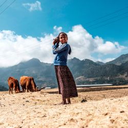 Un joven pastor junto a unos bueyes en el pueblo de Korem, al norte de Alamata, Etiopía. | Foto:Eduardo Soteras / AFP