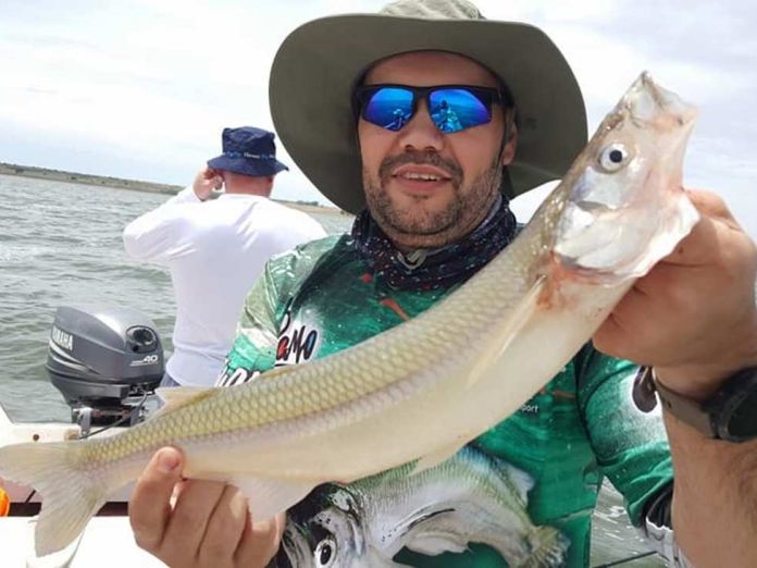 Juego De Anzuelos Para Pesca 56 Piezas – Do it Center