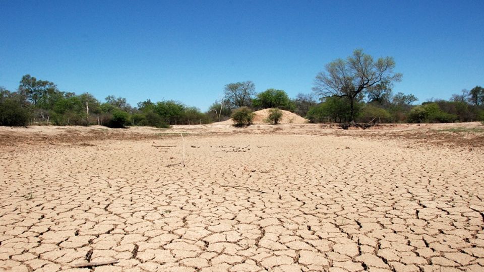 La sequía generó pérdidas productivas en el agro durante 2020.