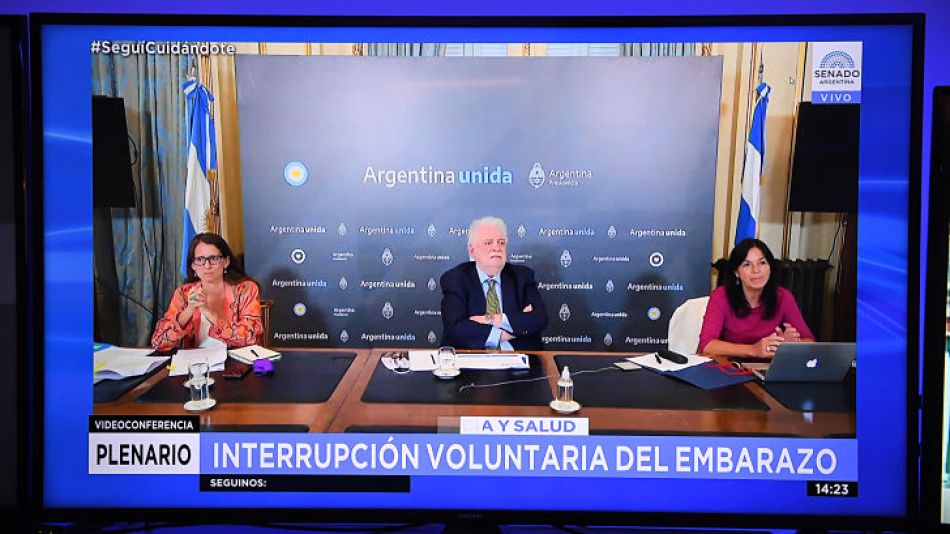 20_12_2020_reunión_plenaria_aborto