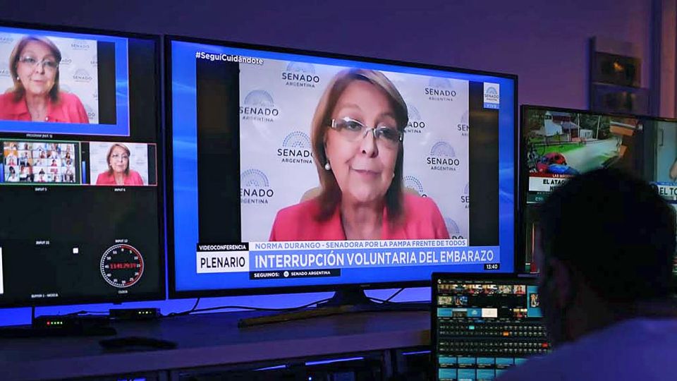 Durango. La senadora, una de las “verdes”, coordinó el debate en comisión esta semana.