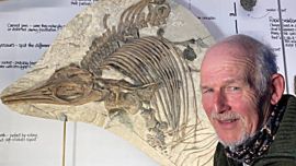 El sorprendente hallazgo tuvo lugar en las playas de la bahía Kimmeridge, en Dorset, Inglaterra.