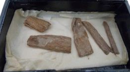 1222_restospiramideegipto