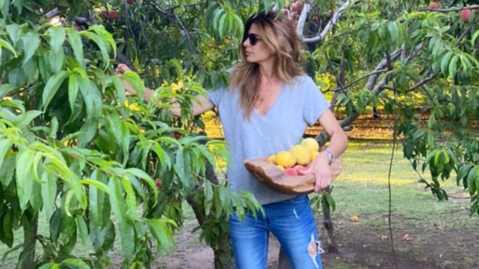 El espacio asignado para Juliana Awada por Cambiemos es por ahora la huerta y la cocina. Marketing ante todo.