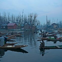 Los vendedores exhiben sus productos en un mercado de verduras flotante temprano en la mañana en los interiores de Dal Lake, en Srinagar. | Foto:Tauseef Mustafa / AFP