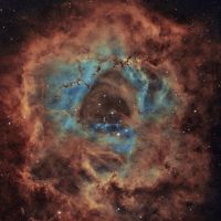 Nicolás Paladini, el esposo de Rocío Guirao Díaz, fue reconocido por la NASA