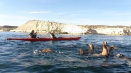 La ciudad chubutense de Puerto Madryn está lista para recibir al turismo este verano.