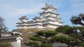 Japón debió suspender la promoción turística interna debido a un rebrote de coronavirus.