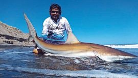 Para el número de enero preparamos un completo informe sobre la pesca de tiburón desde la costa.