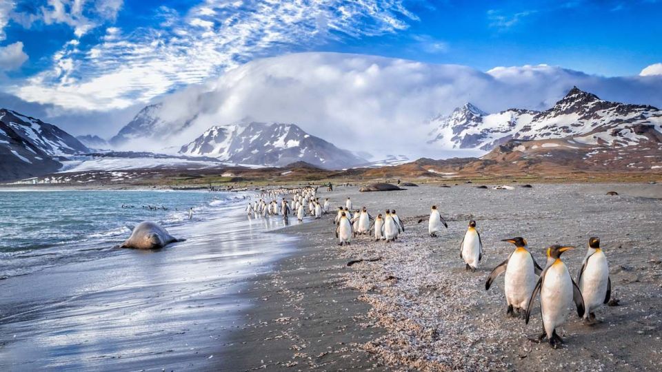 Islas Malvinas