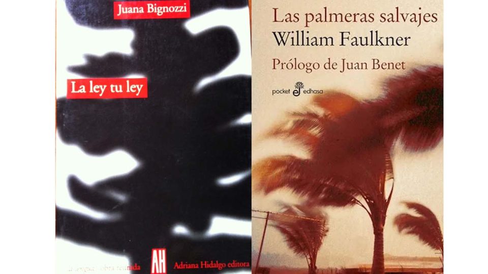 libro Mi ley, tu ley, de la poeta Juana Bignozzi y de William Faulkner, Las Palmeras Salvajes.