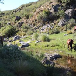 Quebrada de los Cóndores, el secreto mejor guardado de La Rioja: una posada familiar con precios económicos y actividades para todos.