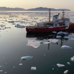 Las nuevas especies fueron encontradas hasta 400 metros bajo el agua.