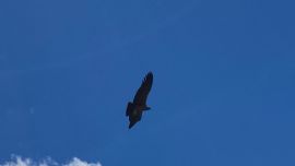 Quebrada de los Cóndores, el secreto mejor guardado de La Rioja: una posada familiar con precios económicos y actividades para todos.