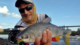 Así arrancó el año 2021