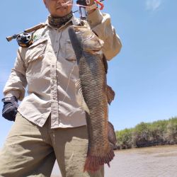Pesca de tarariras en el río Dulce, Santiago del Estero