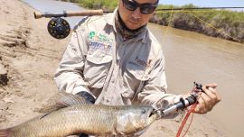 0501_pesca_tarariras