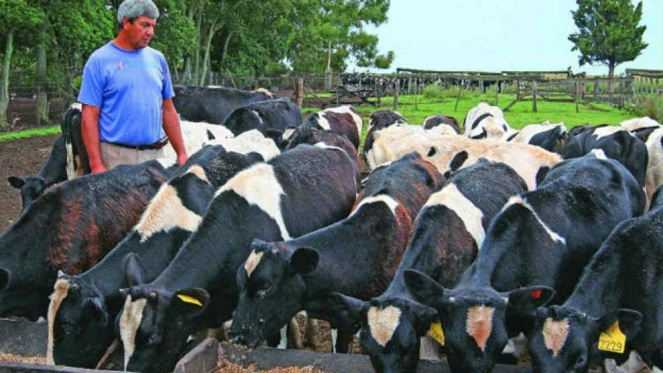 Trabajadores rurales.
