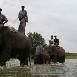 Los guardabosques de la Unidad de Respuesta a los Elefantes partieron para una patrulla en el Parque Nacional Way Kambas en Lampung. | Foto:Dasril Roszandi / AFP