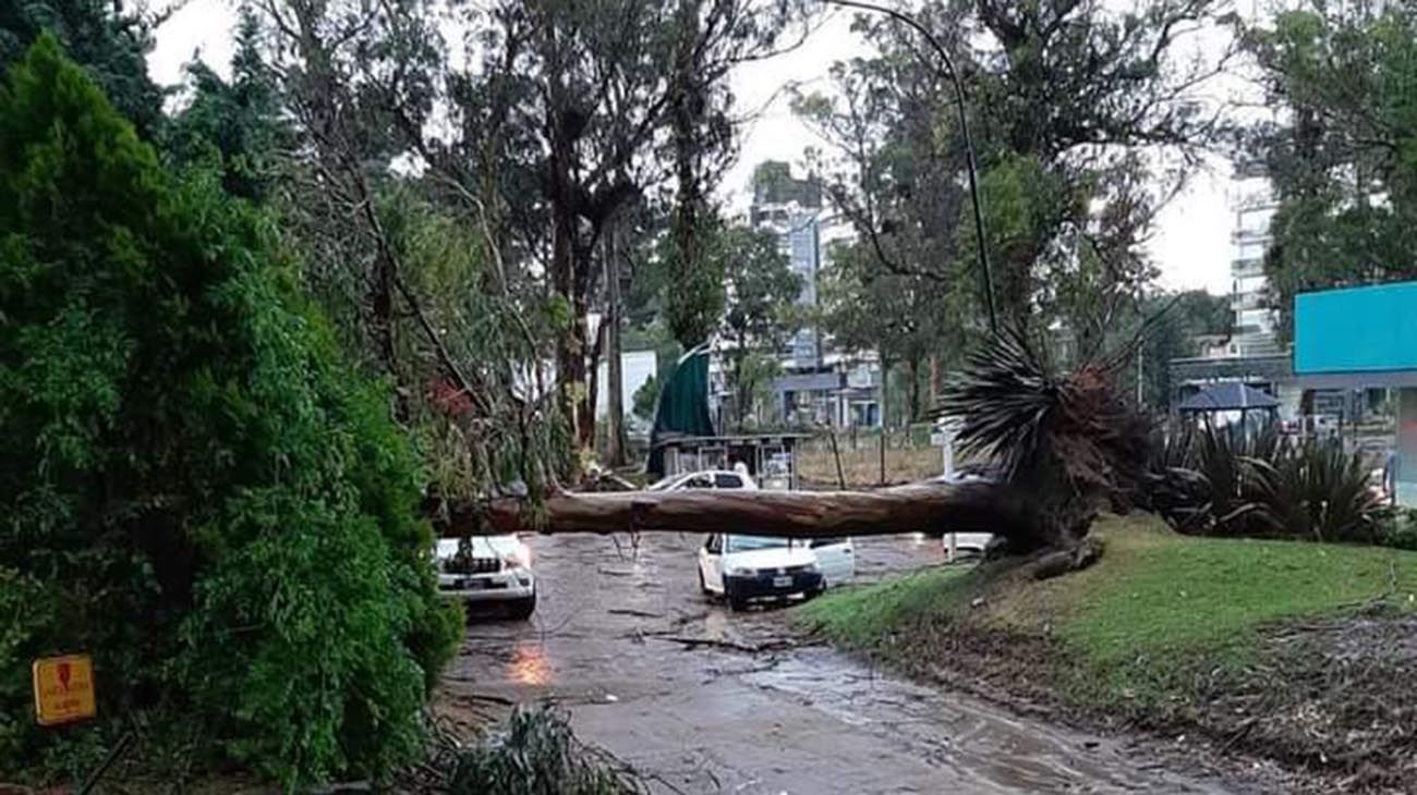 Tromba Marina en pinamar