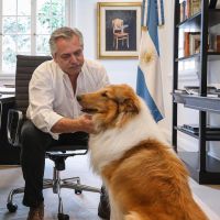 Alberto Fernández celebró el cumpleaños de Dylan, su perro, con la foto más tierna