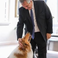 Alberto Fernández celebró el cumpleaños de Dylan, su perro, con la foto más tierna