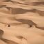 Fotogaleria Arabia Saudita