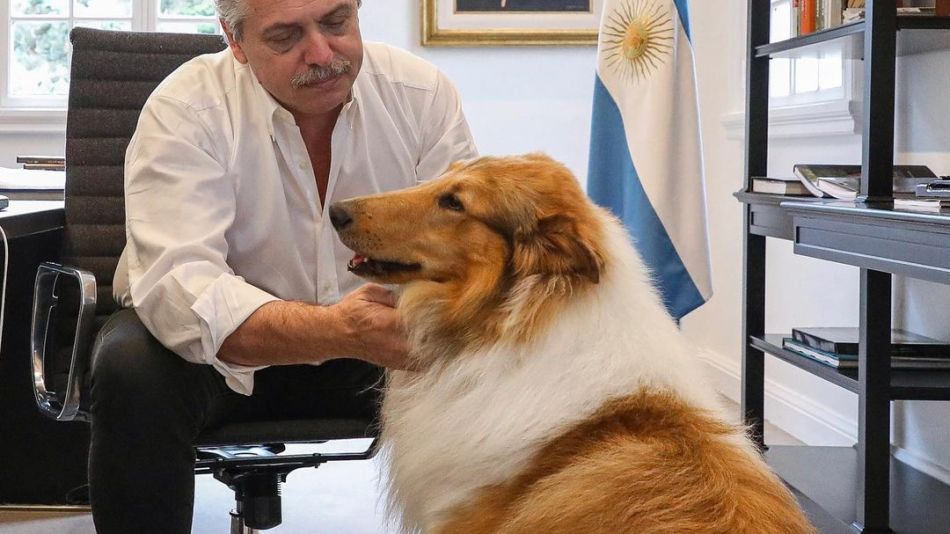 Alberto Fernández celebró el cumpleaños de Dylan, su perro, con la foto más tierna