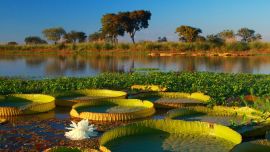 Parque Nacional Pre Delta, Entre Ríos.