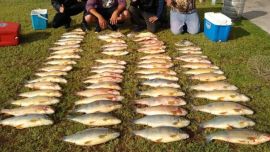 0601_pesca_bogas_berisso