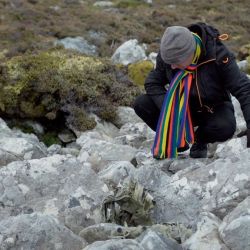 Buenas noches, Malvinas | Foto:Cedoc