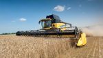 Cosecha de trigo.