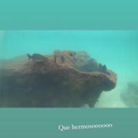 Amor a la mexicana: enterate que hacen Fabián Cubero y Mica Viciconte