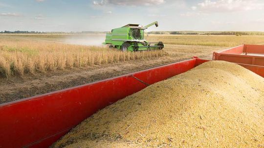 Agro. Las retenciones postergan el ajuste.