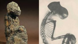 Los investigadores compararon los isótopos de los dos primates momificados descubiertos en Egipto con un enfoque en los de los períodos del Imperio Nuevo y Ptolemaico.