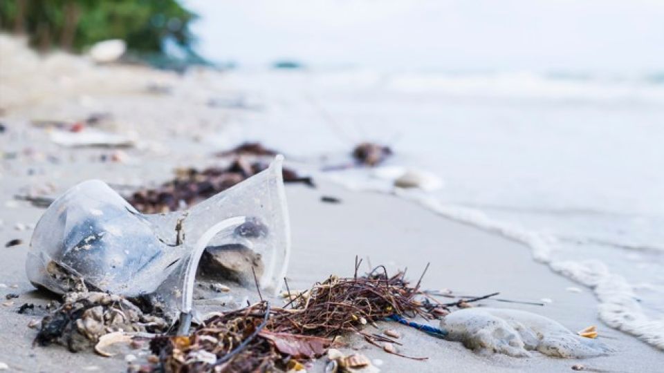 Según el último censo de Basura Costero-Marina en Argentina, el 83,2% estuvo constituido por plástico.