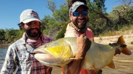 Dorado récord del Paraná Medio