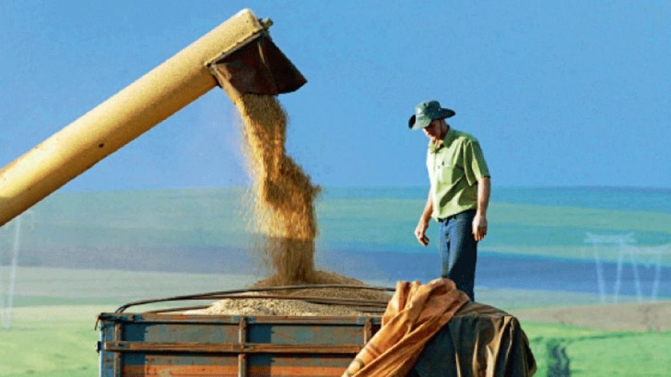 Qué hay detrás del salto de precio de los granos