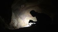 La imagen de un jabalí en tamaño real descubierta en la isla de Sulawesi data de alrededor de 45.500 años.
