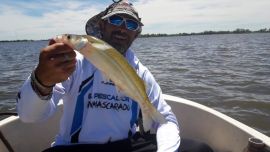 Desde hace 10 días en este espejo se vienen haciendo capturas hasta casi cubrir la cuota.