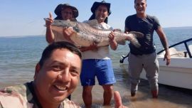 "Es el primer surubí que logro capturar en toda mi vida", confesó Batista.,